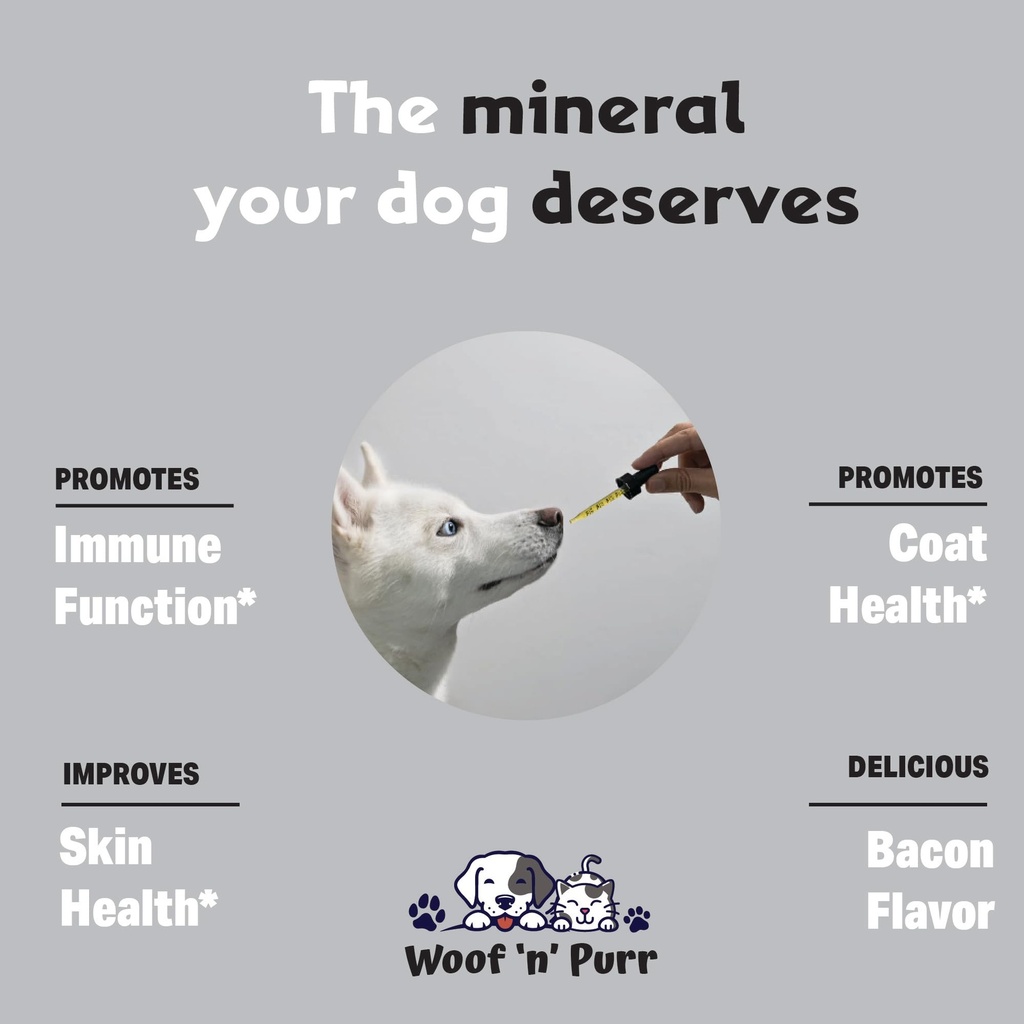 zinc-for-dogs-dog-zinc-supplement-helps--3.jpg