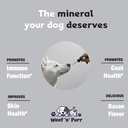 zinc-for-dogs-dog-zinc-supplement-helps--3.jpg