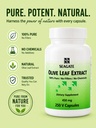 seagate-products-olive-leaf-extract-450--4.jpg