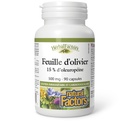 herbalfactors-by-natural-factors-olive-l-2.jpg