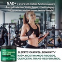 satoomi-nad-supplement-with-liposomal-ni-6.jpg