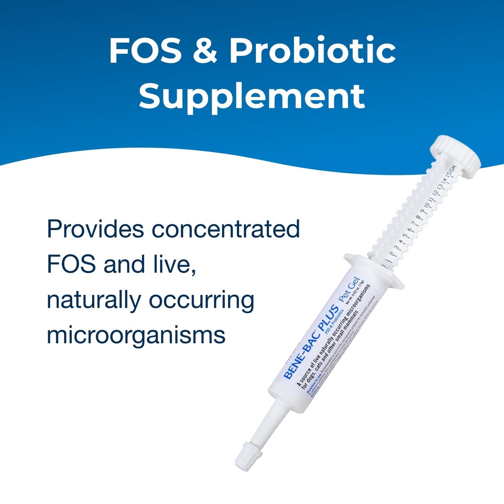 petag-bene-bac-plus-pet-gel-15-g-syringe-2.jpg