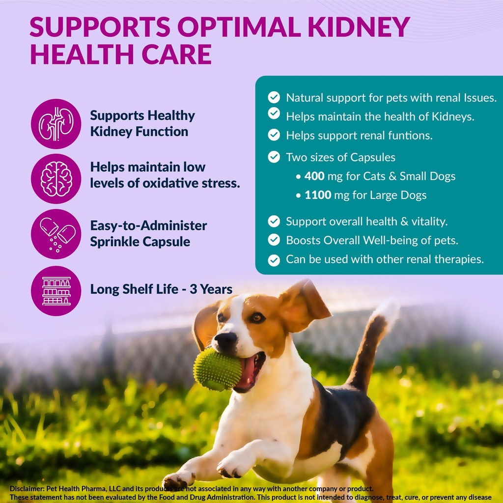 aminodyl-kidney-support-supplement-400mg-2.jpg