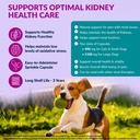 aminodyl-kidney-support-supplement-400mg-2.jpg