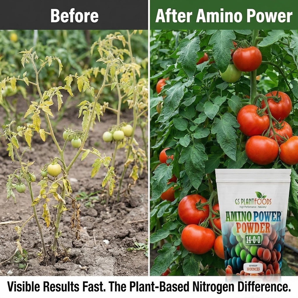 amino-power-powder-nitrogen-fertilizer-p-2.jpg