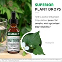nutramedix-houttuynia-gastrointestinal-i-5.jpg