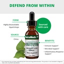 nutramedix-houttuynia-gastrointestinal-i-4.jpg