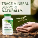youngevity-ultimate-mineral-capsTM---70--3.jpg