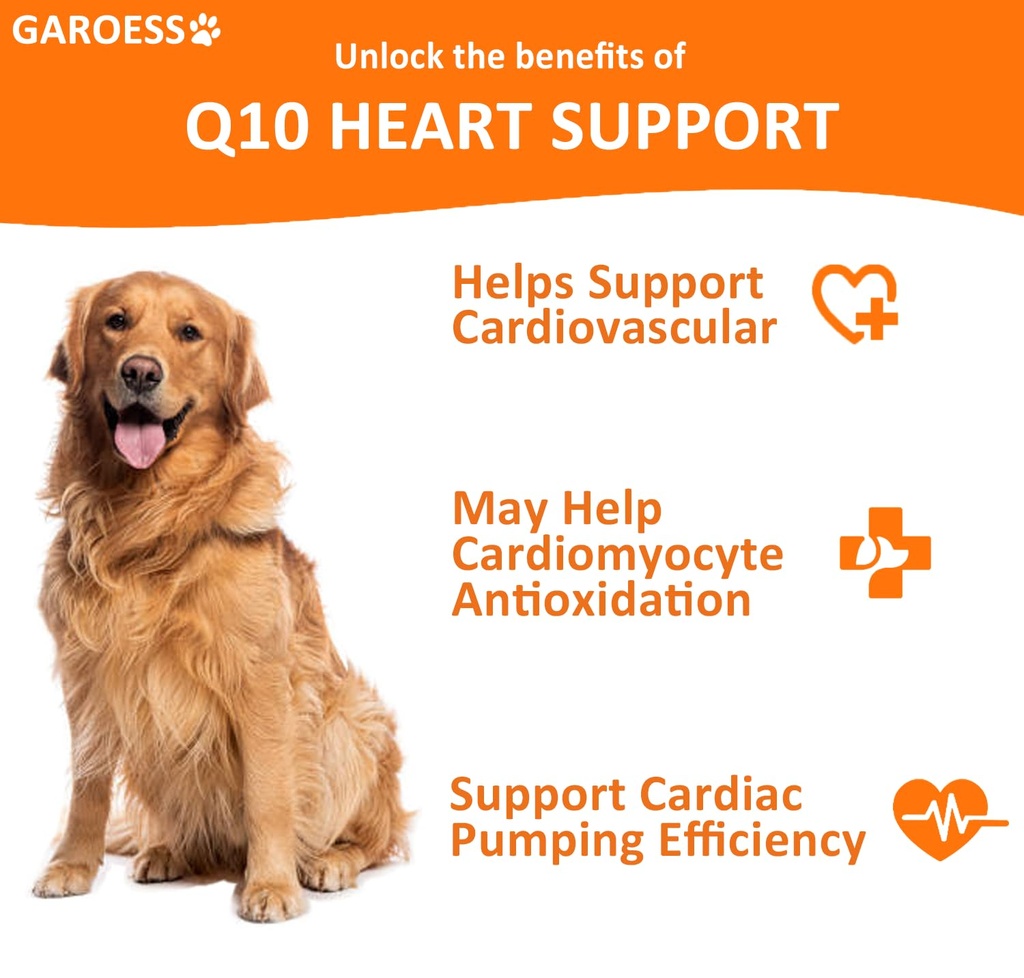 coq10-heart-chew-for-dogs-support-dogs-h-3.jpg