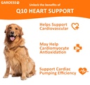 coq10-heart-chew-for-dogs-support-dogs-h-3.jpg