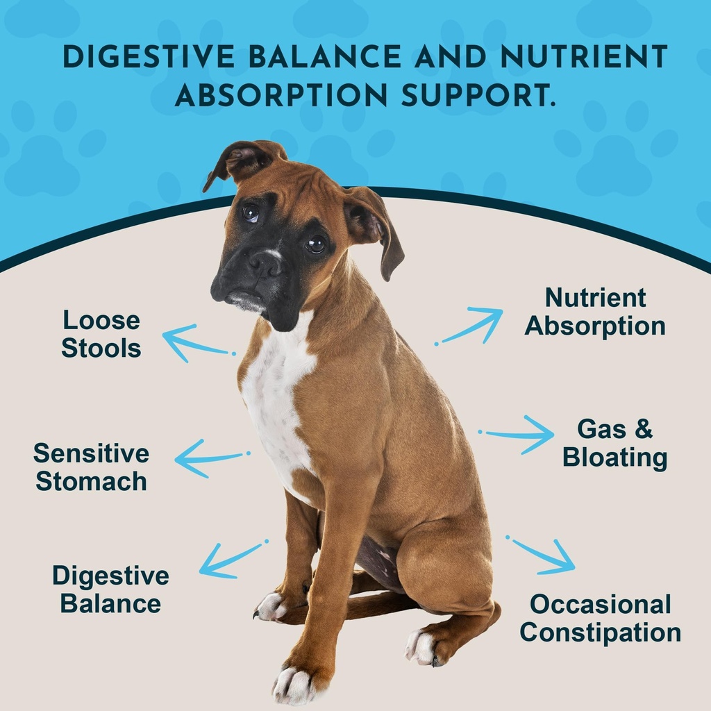 animal-essentials-plant-enzyme-probiotic-2.jpg