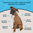 animal-essentials-plant-enzyme-probiotic-2.jpg