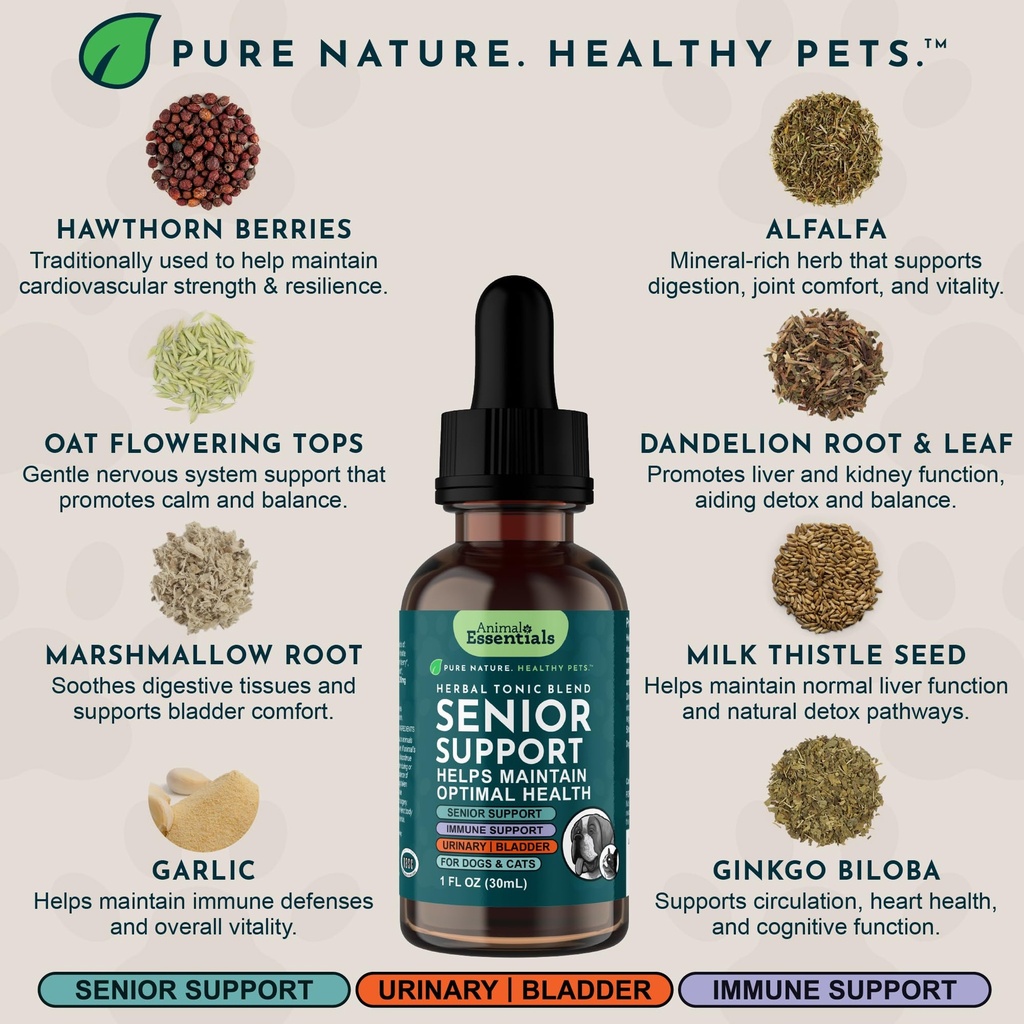 animal-essentials-senior-support-for-dog-4.jpg