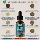 animal-essentials-senior-support-for-dog-4.jpg