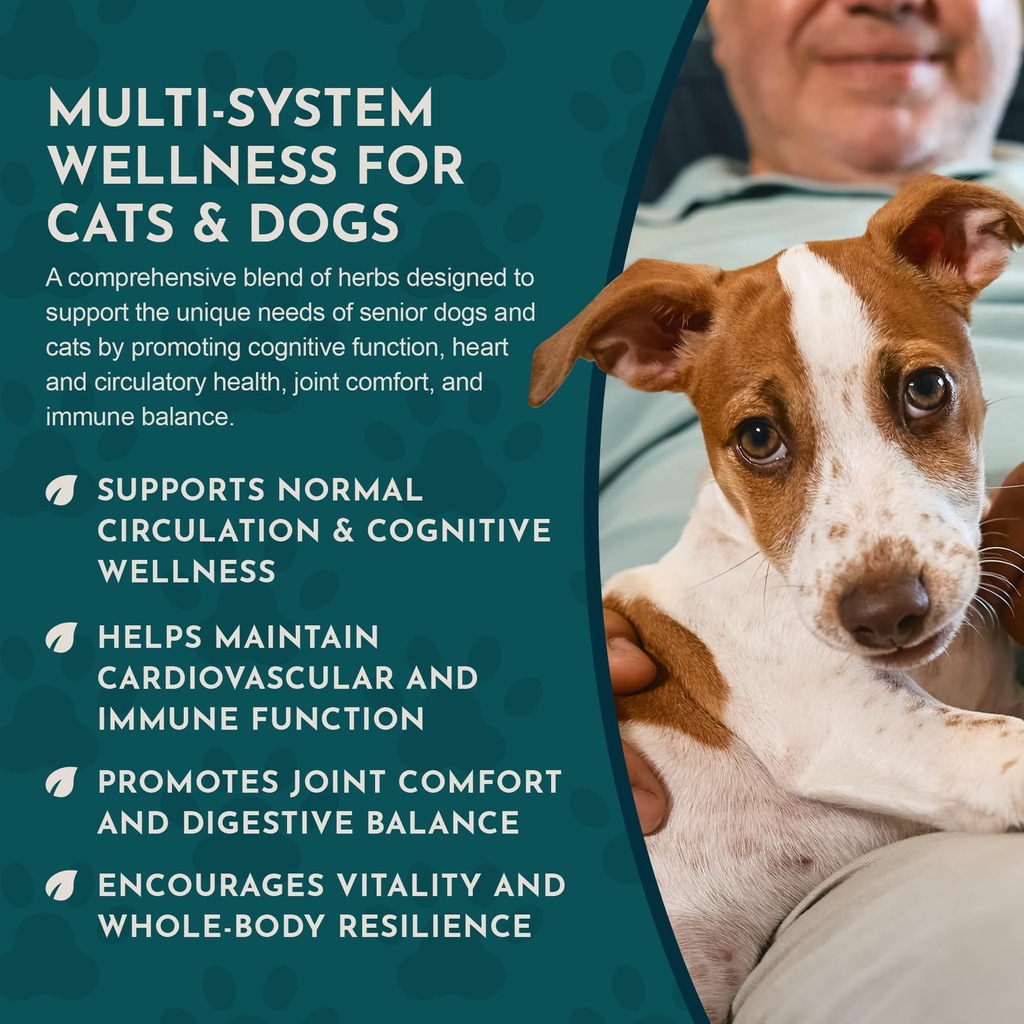 animal-essentials-senior-support-for-dog-6.jpg