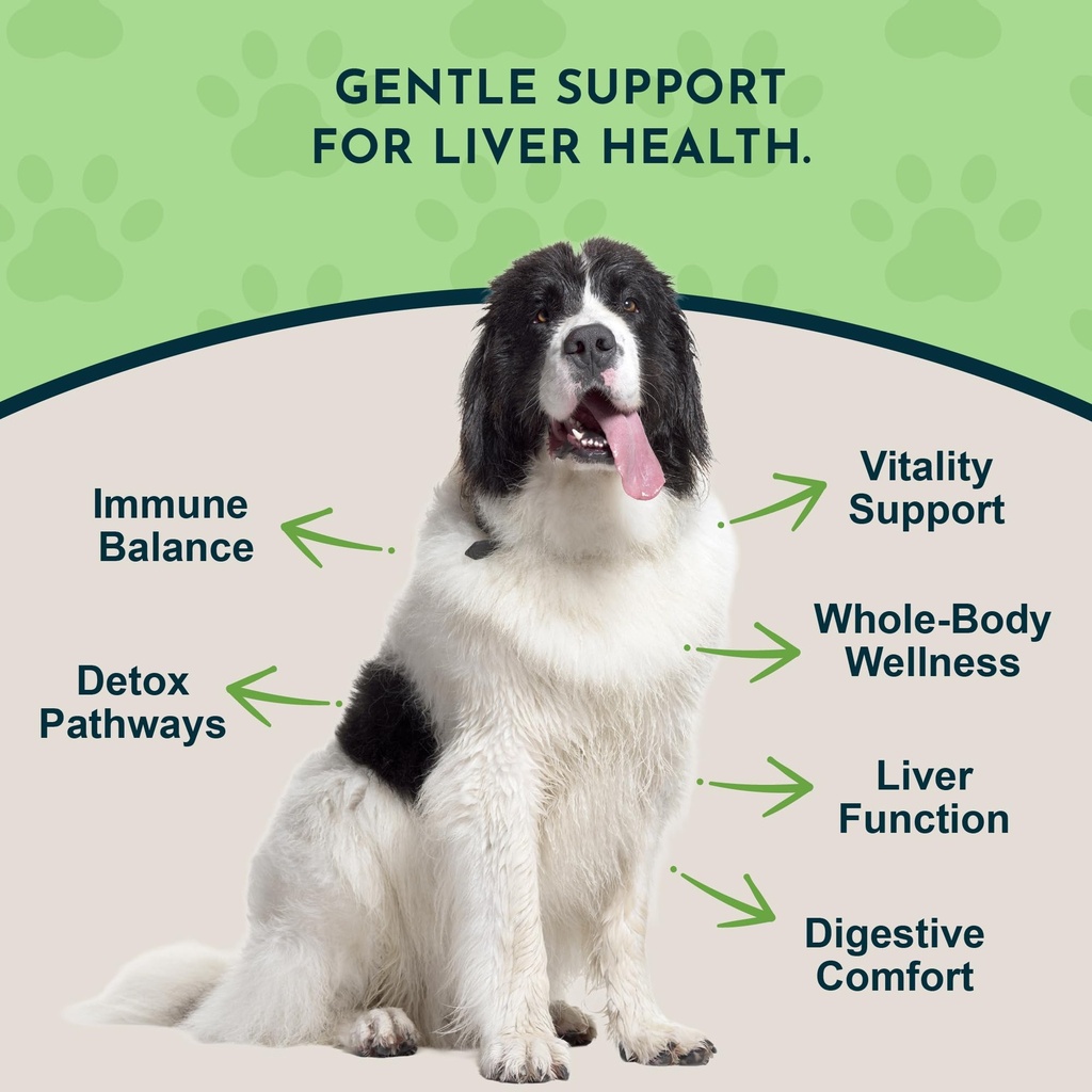 animal-essentials-liver-defense-liver-su-2.jpg