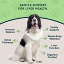 animal-essentials-liver-defense-liver-su-2.jpg