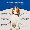 animal-essentials-comfort-plus-herbal-fo-2.jpg