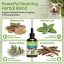pet-wellbeing-throat-gold-for-dogs-suppo-3.jpg