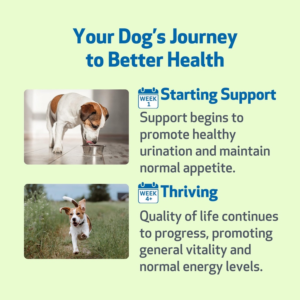 pet-wellbeing-kidney-support-gold-for-do-4.jpg