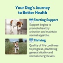 pet-wellbeing-kidney-support-gold-for-do-4.jpg