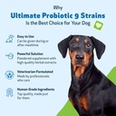 pet-wellbeing-ultimate-probiotic-9-strai-5.jpg