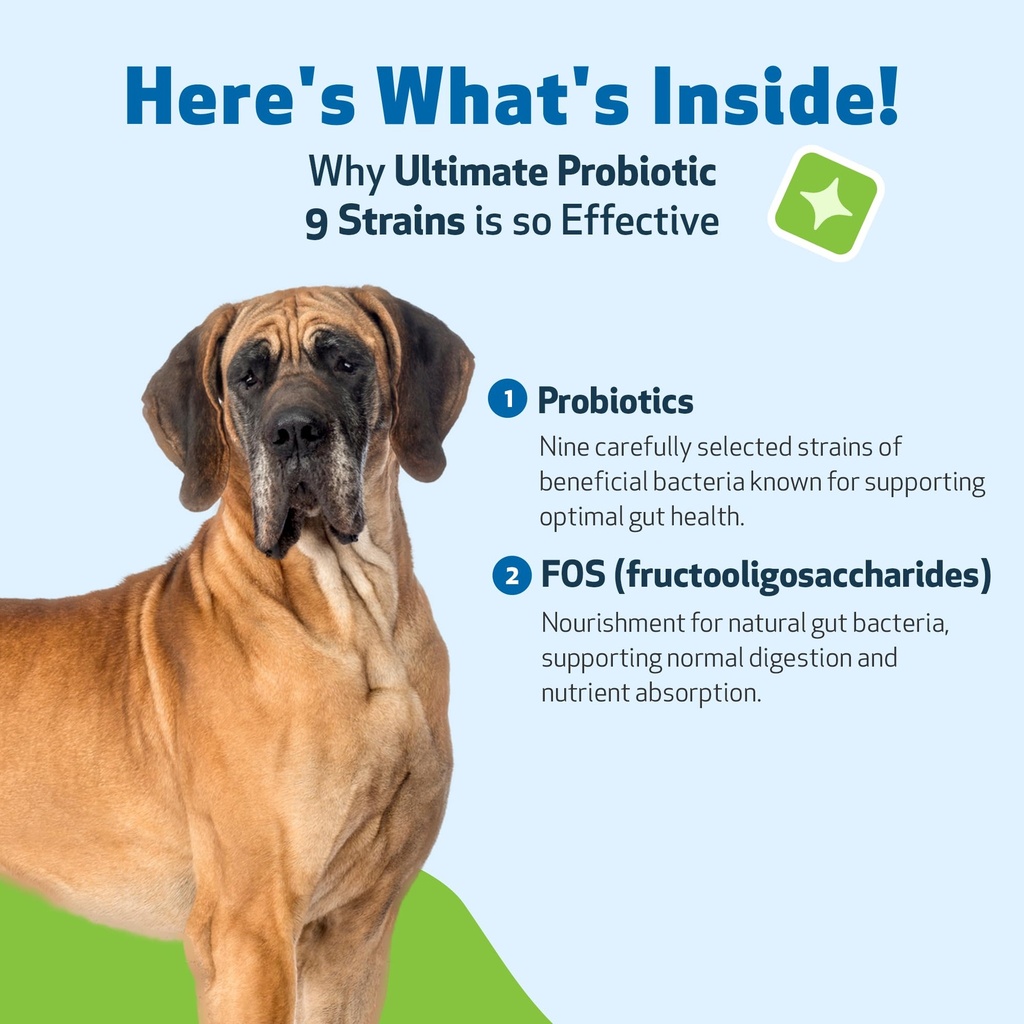 pet-wellbeing-ultimate-probiotic-9-strai-6.jpg