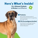 pet-wellbeing-ultimate-probiotic-9-strai-6.jpg