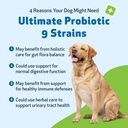 pet-wellbeing-ultimate-probiotic-9-strai-3.jpg