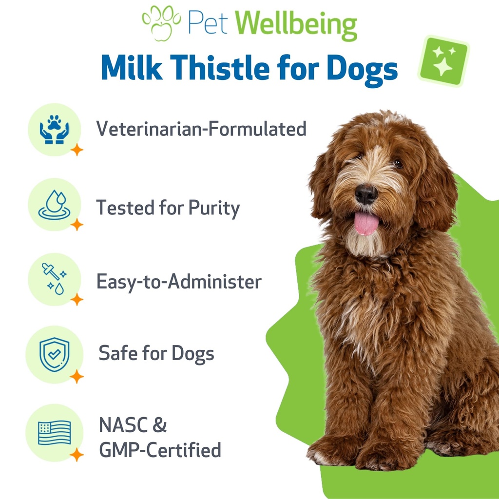 pet-wellbeing-milk-thistle-for-dogs-orga-5.jpg