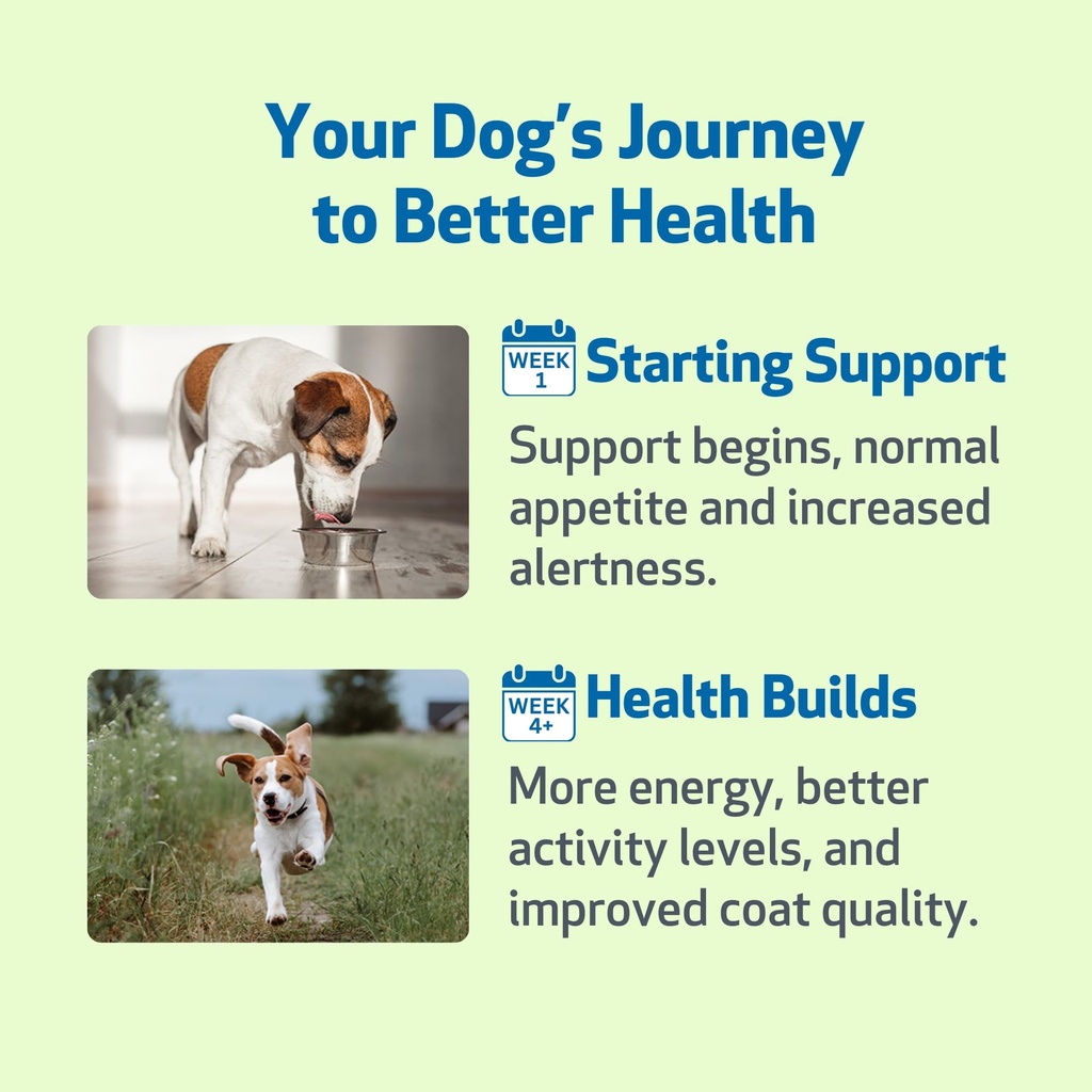 pet-wellbeing-milk-thistle-for-dogs-orga-6.jpg