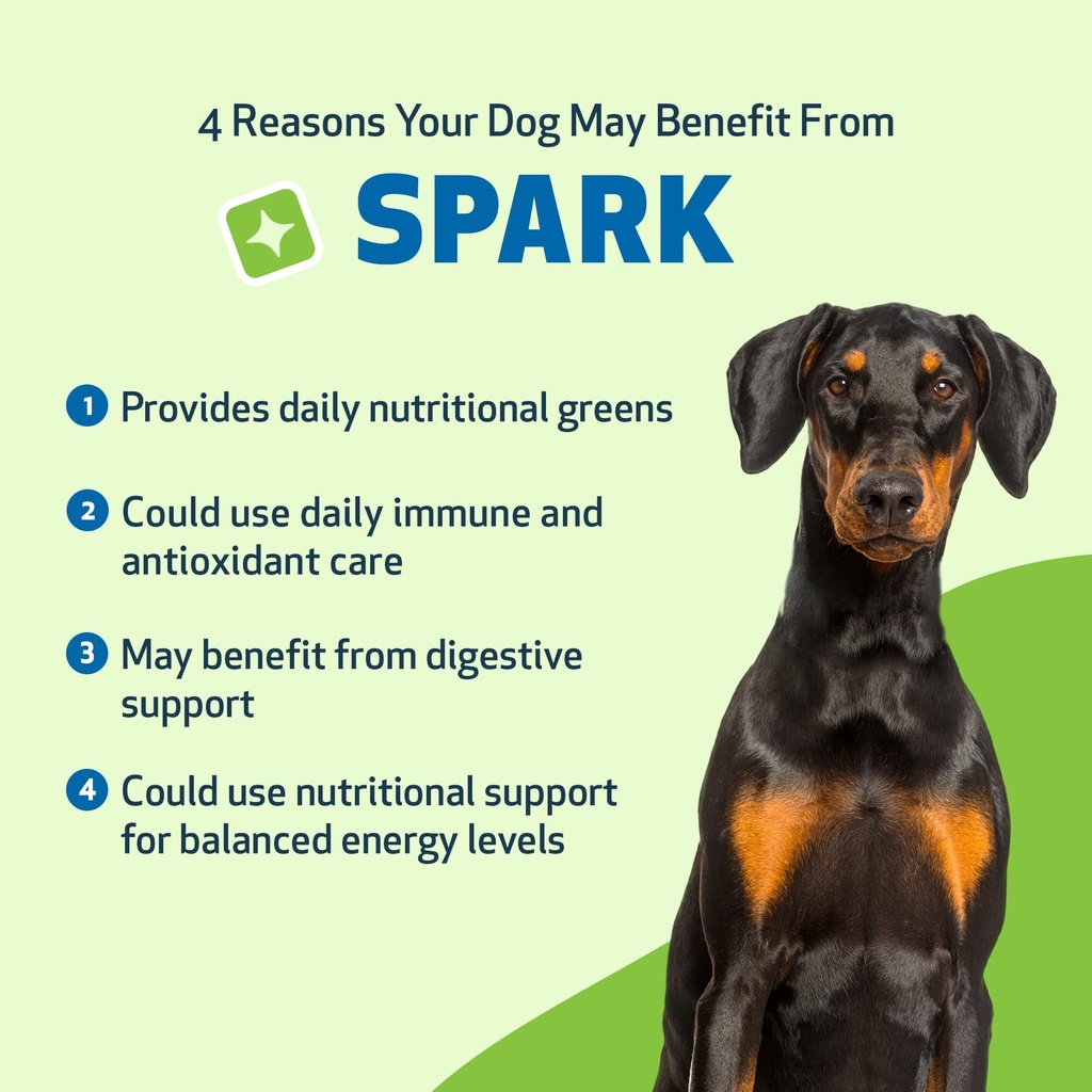 pet-wellbeing-spark-daily-nutritional-gr-3.jpg
