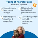 pet-wellbeing-young-at-heart-for-cats-se-2.jpg