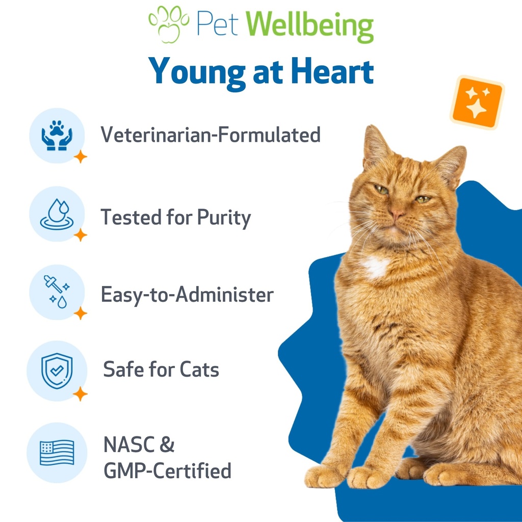 pet-wellbeing-young-at-heart-for-cats-se-6.jpg