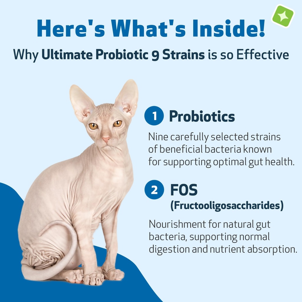 pet-wellbeing-ultimate-probiotic-9-strai-3.jpg