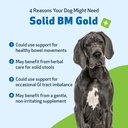 pet-wellbeing-solid-bm-gold-for-dogs-sup-3.jpg
