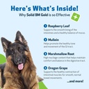 pet-wellbeing-solid-bm-gold-for-dogs-sup-6.jpg