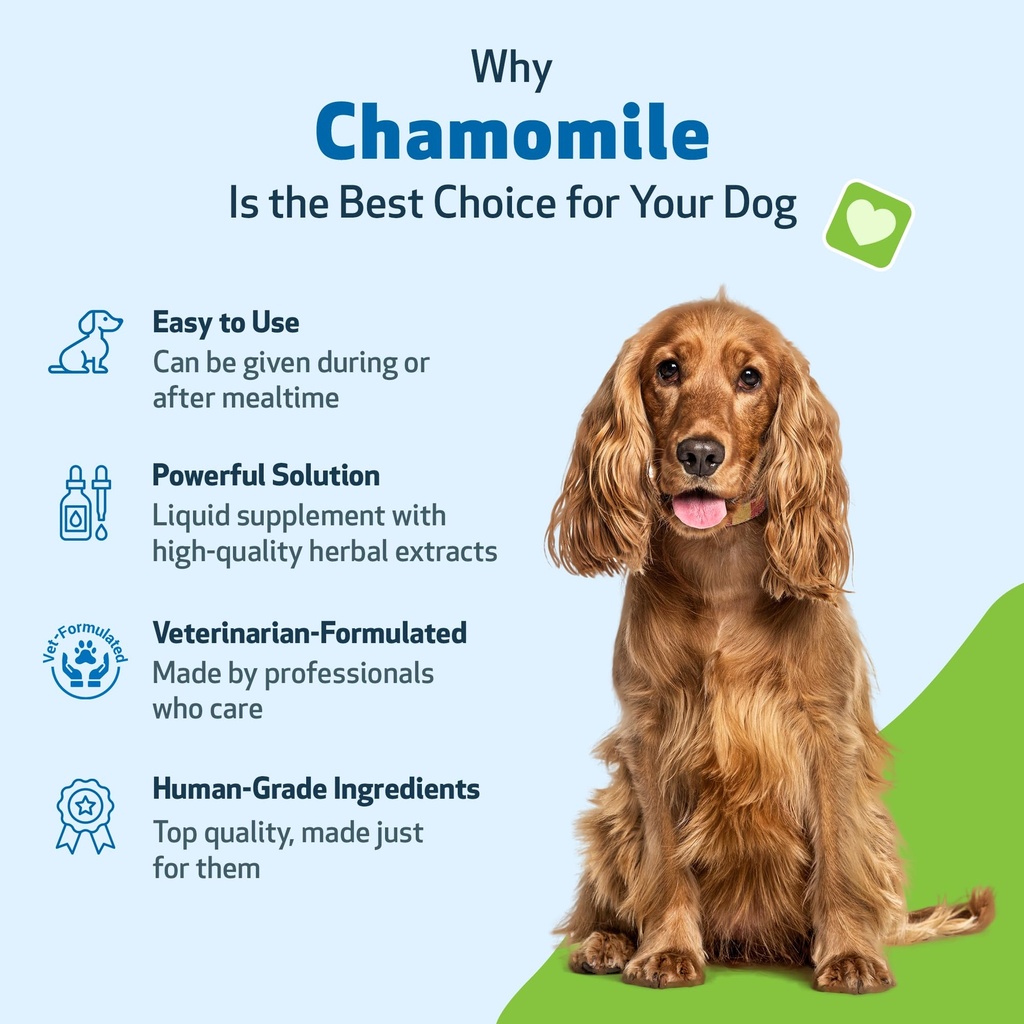 pet-wellbeing-chamomile-for-dogs-organic-3.jpg