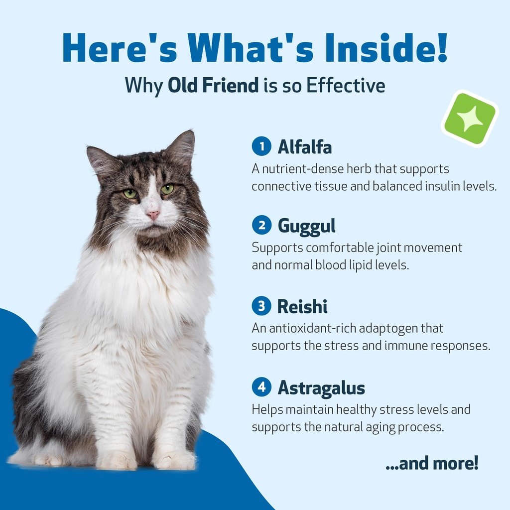 pet-wellbeing-old-friend-for-senior-cats-3.jpg