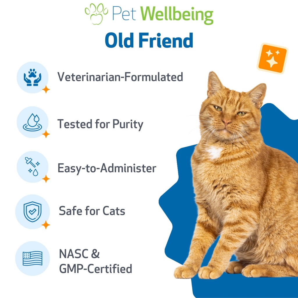 pet-wellbeing-old-friend-for-senior-cats-5.jpg