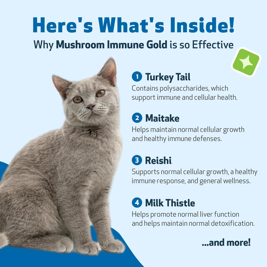 pet-wellbeing-mushroom-immune-gold-for-c-6.jpg