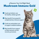 pet-wellbeing-mushroom-immune-gold-for-c-3.jpg
