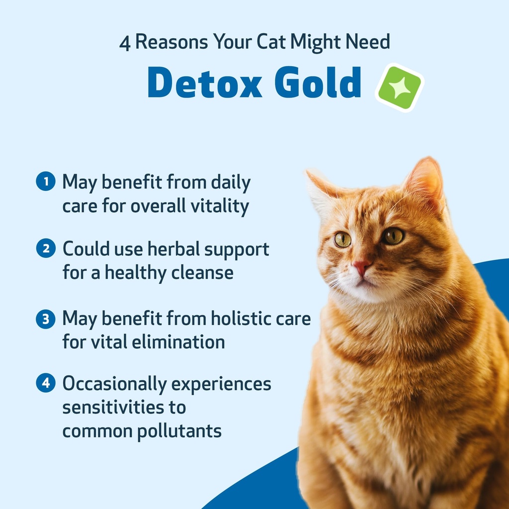 pet-wellbeing-detox-gold-for-cats-suppor-3.jpg