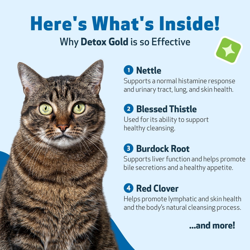 pet-wellbeing-detox-gold-for-cats-suppor-5.jpg