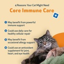 pet-wellbeing-core-immune-care-for-cats--5.jpg