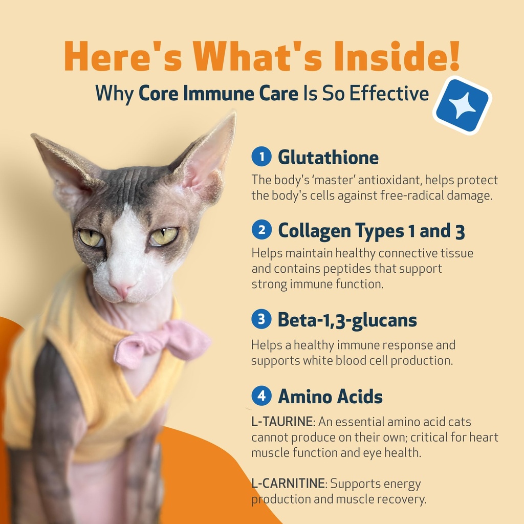 pet-wellbeing-core-immune-care-for-cats--4.jpg