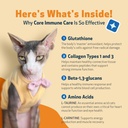 pet-wellbeing-core-immune-care-for-cats--4.jpg