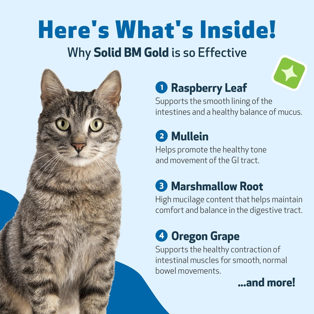 pet-wellbeing-solid-bm-gold-for-cats-sup-6.jpg