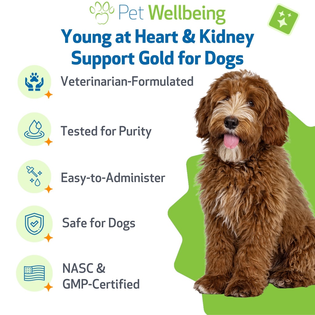 pet-wellbeing-young-at-heart-kidney-supp-3.jpg