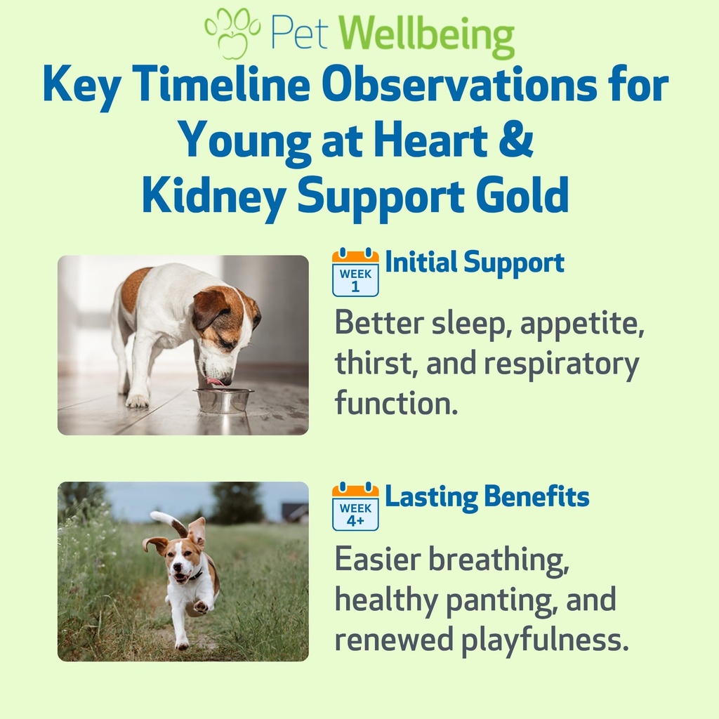 pet-wellbeing-young-at-heart-kidney-supp-4.jpg